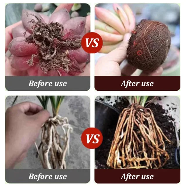 [Universal Plant] Powerful Root Growth Solution - Give your plants a strong foundation for growth!